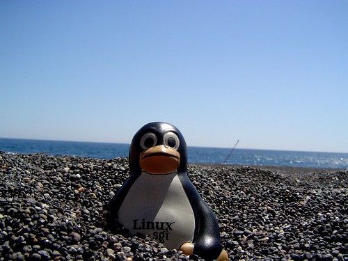 Pingouin Linux sur une plage