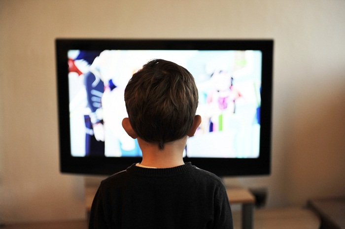 
            Chaînes TV : quel avenir face aux plateformes numériques ?          